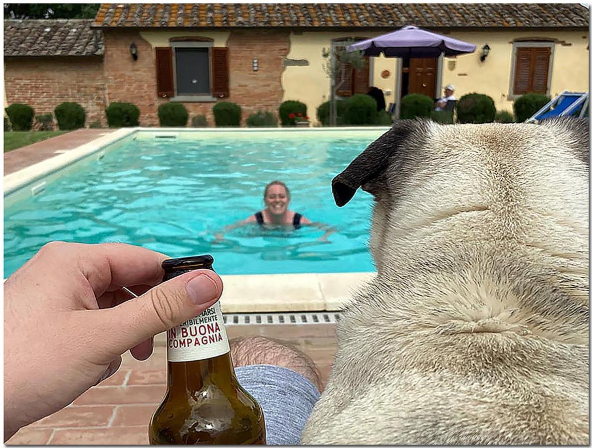 Villino Cortona - Casa Vacanze A Cortona Con Piscina Privata Wifi, Ac - Toscana - Nelle Vicinanze Perugia, Assisi, Montepulciano, Pienza, Siena Exterior foto
